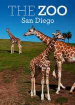 Watch The Zoo: San Diego Movie2k