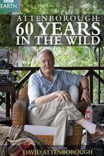 Watch Attenborough 60 Years in the Wild Movie2k