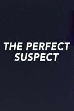 Watch The Perfect Suspect Movie2k