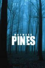 Watch Wayward Pines Movie2k