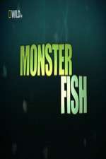 Watch National Geographic Monster Fish Movie2k