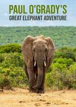 Watch Paul O'Grady's Great Elephant Adventure Movie2k