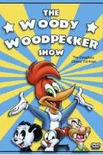 Watch The Woody Woodpecker Show Movie2k