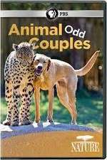 Watch Animal Odd Couples Movie2k