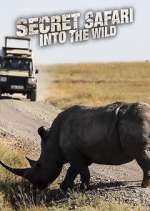 Watch Secret Safari: Into the Wild Movie2k