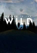 Watch Called to the Wild Movie2k