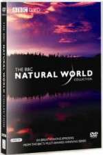 Watch The Natural World Movie2k