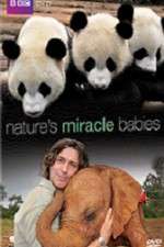 Watch Natures Miracle Babies Movie2k