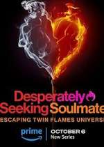 Watch Desperately Seeking Soulmate: Escaping Twin Flames Universe Movie2k