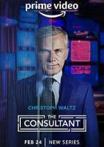 Watch The Consultant Movie2k