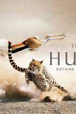 Watch The Hunt Movie2k