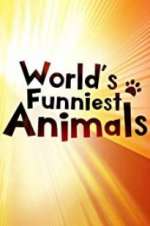 Watch The World\'s Funniest Animals Movie2k