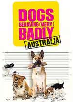 Watch Dogs Behaving (Very) Badly Australia Movie2k