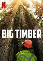 Watch Big Timber Movie2k