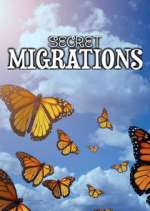 Watch Secret Migrations Movie2k