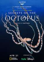 Secrets of the Octopus movie2k