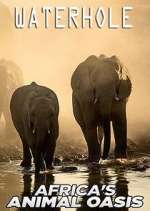 Watch Waterhole: Africa's Animal Oasis Movie2k