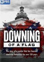 Watch Downing of a Flag Movie2k