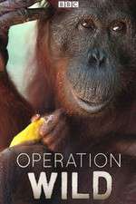 Watch Operation Wild Movie2k