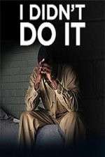 Watch I Didn't Do It (2012) Movie2k