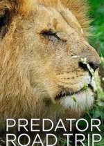 Watch Predator Road Trip Movie2k