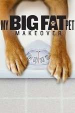 Watch My Big Fat Pet Makeover Movie2k