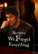 Watch Because We Forget Everything Movie2k