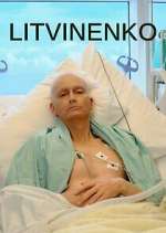 Watch Litvinenko Movie2k