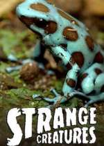 Watch Strange Creatures Movie2k