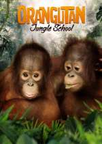 Watch Orangutan Jungle School Movie2k