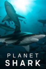 Watch Planet Shark Movie2k