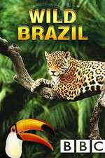 Watch Wild Brazil Movie2k