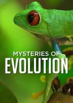 Watch Mysteries of Evolution Movie2k
