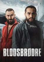 Watch Blodsbrødre Movie2k