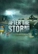 Watch After the Storm Movie2k