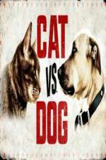 Watch Cat vs. Dog Movie2k