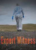 Watch Expert Witness Movie2k