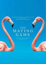 Watch The Mating Game Movie2k