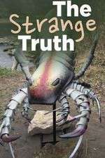 Watch The Strange Truth Movie2k