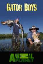 Watch Gator Boys Movie2k