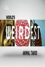 Watch Wild Worlds Weirdest Animals Taboo Movie2k