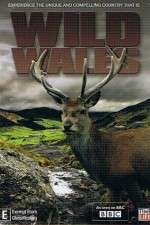 Watch Wild Wales Movie2k