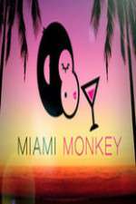 Watch Miami Monkey Movie2k