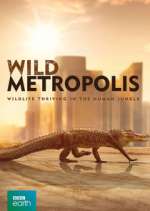 Watch Wild Metropolis Movie2k