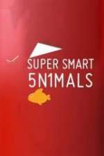 Watch Super Smart Animals Movie2k
