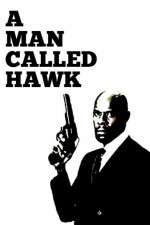 Watch A Man Called Hawk Movie2k