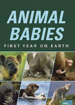 Watch Animal Babies: First Year on Earth Movie2k