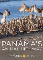 Watch Panama's Animal Highway Movie2k