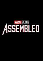 Watch Marvel Studios: Assembled Movie2k