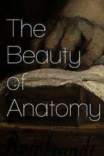 Watch The Beauty of Anatomy Movie2k